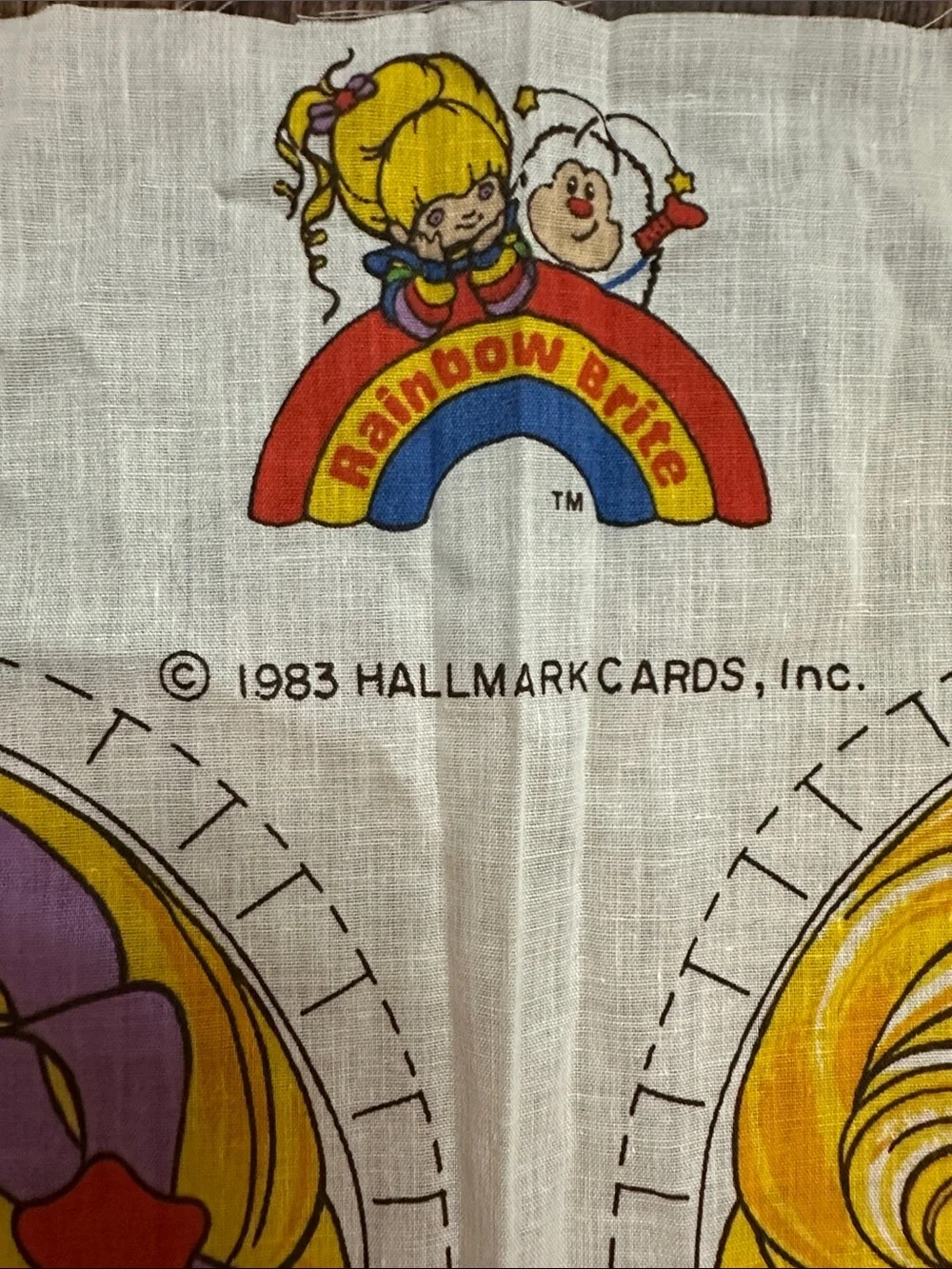 Rainbow Brite Doll Sewing Panel Retro Vintage Pillow